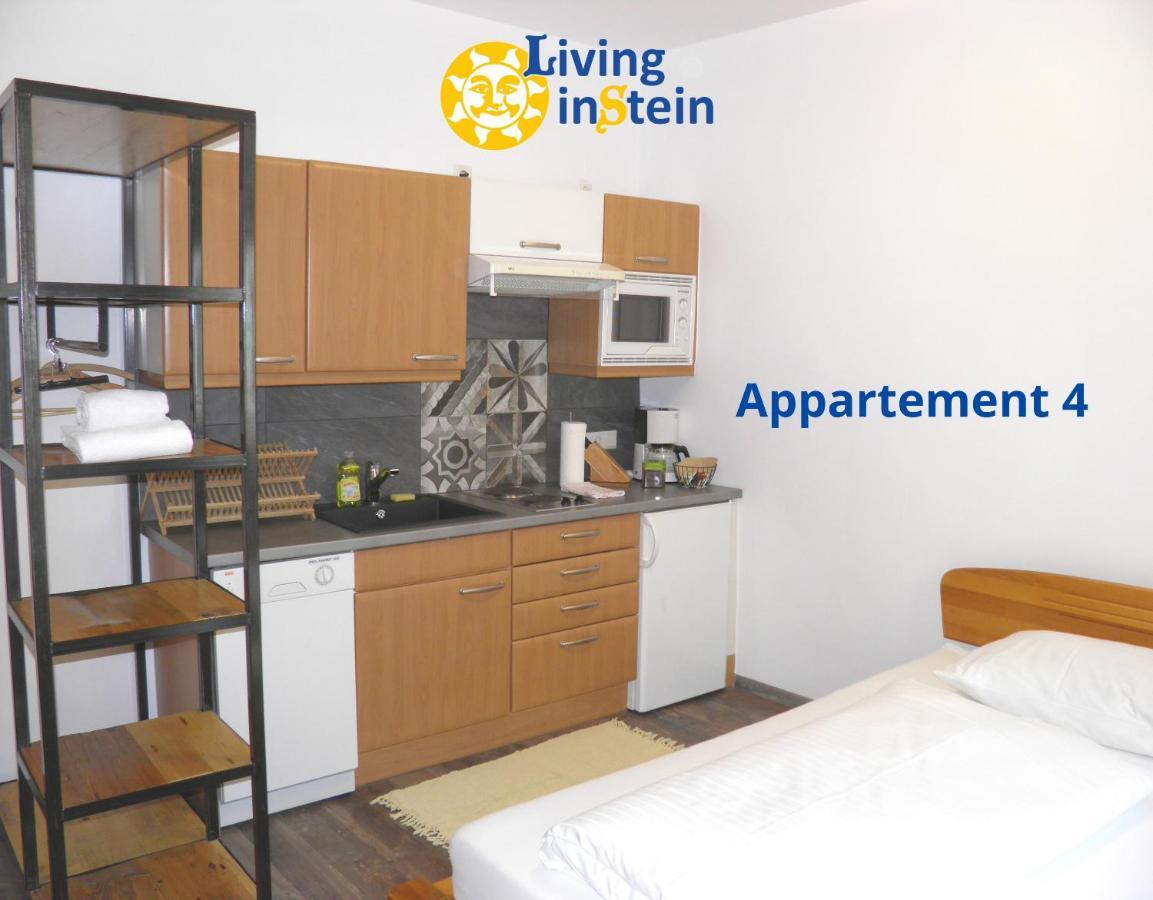 شقة Living Instein كريمس ان دير دوناو المظهر الخارجي الصورة