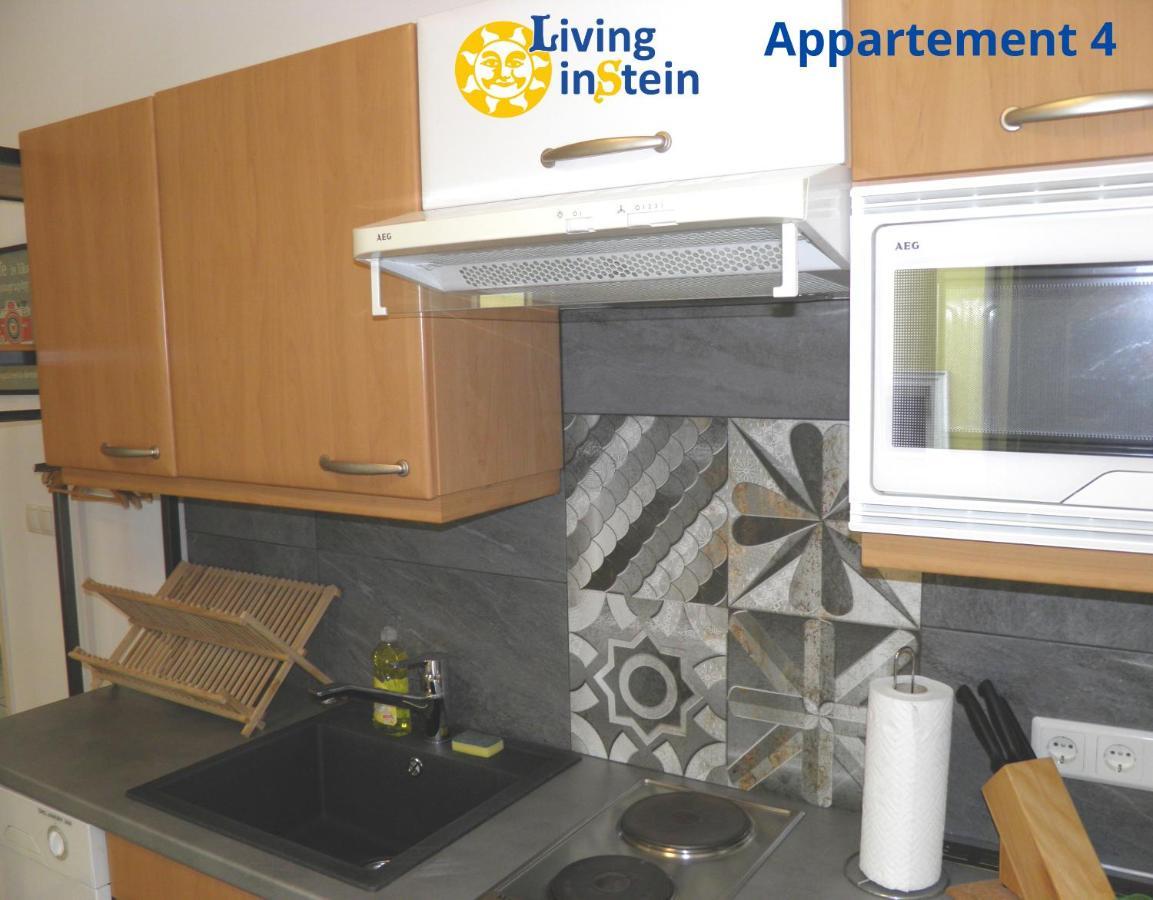 شقة Living Instein كريمس ان دير دوناو المظهر الخارجي الصورة